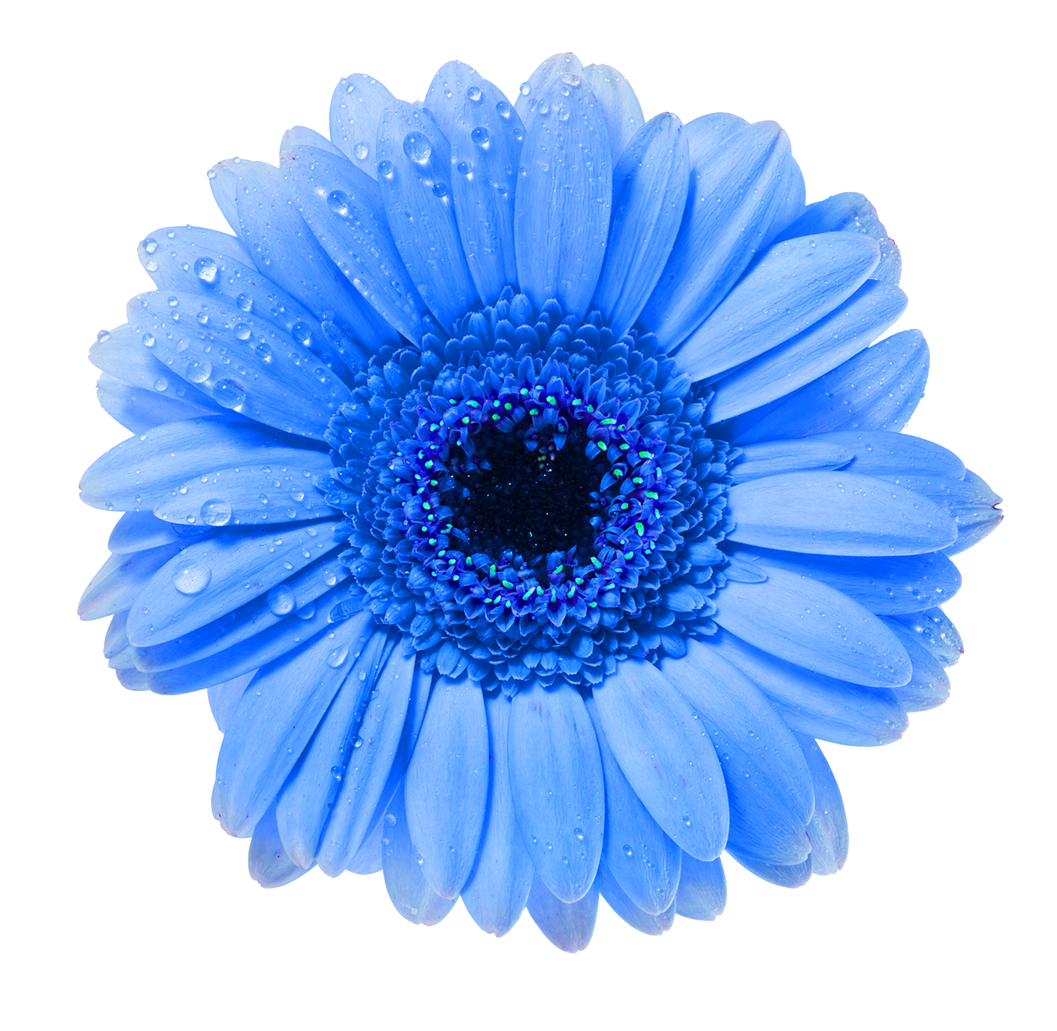 Scots Landscape Turn the place you live into the place you LOVE!